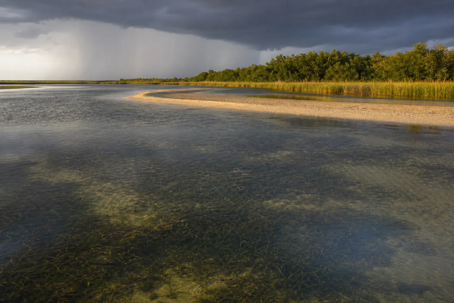 A Southwest Florida estuary in late afternoon light, with seagrass flats, a sandbar, and a distant summer squall.