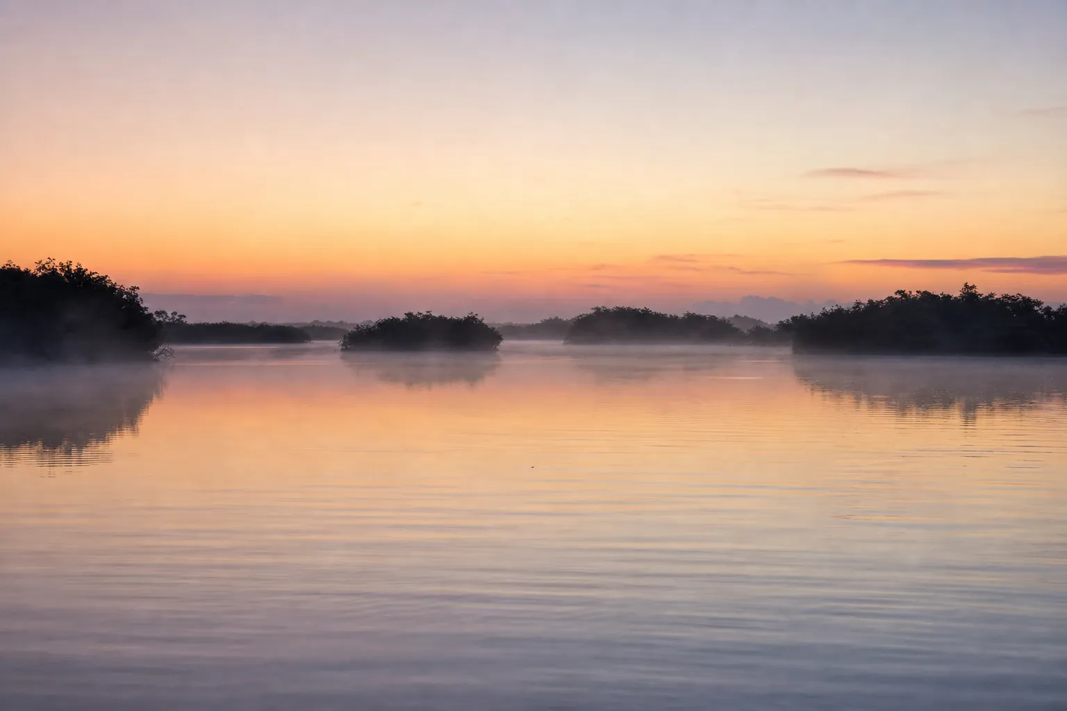A Southwest Florida bay glassed off at sunrise, with mist over the water and mangrove islands silhouetted on the horizon.
