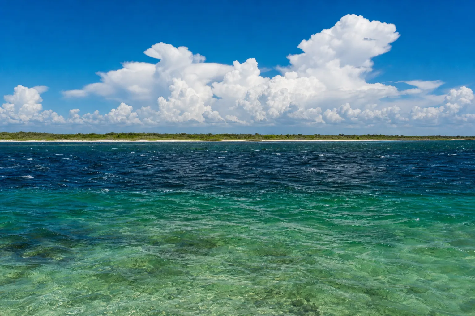 Wind chop and whitecaps across an open Southwest Florida sound at midday, with summer cumulus towering over a distant barrier island.