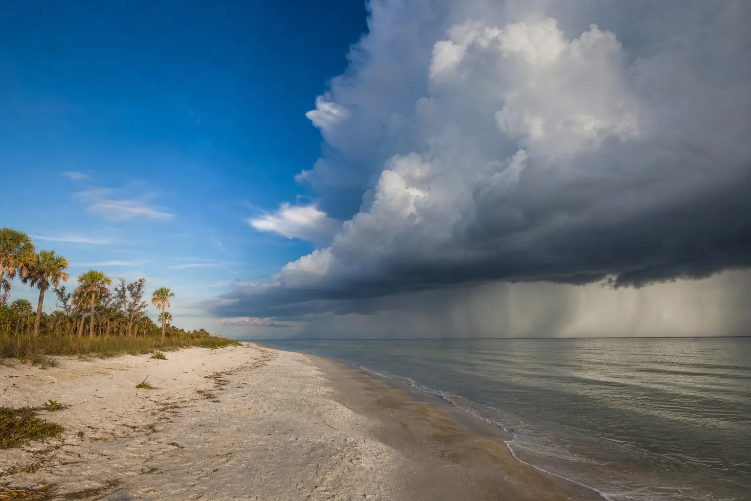 A Southwest Florida coastal flat with clear dry-season light on one side and a towering wet-season thunderhead trailing rain over the Gulf on the other.