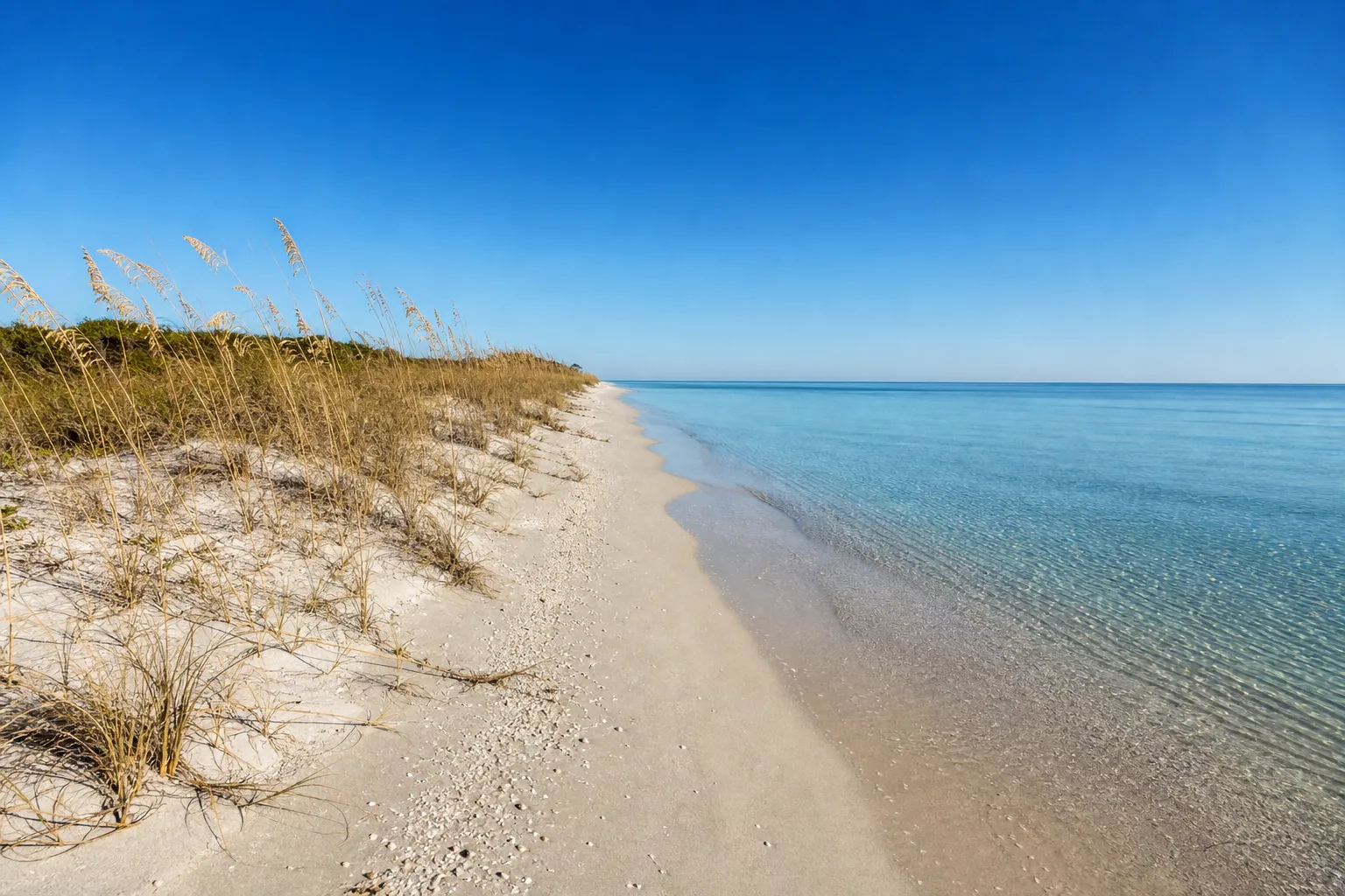 A Southwest Florida shoreline on a clear, cool winter morning, with flat calm turquoise water, dry sea oats, and a deep blue cloudless sky.