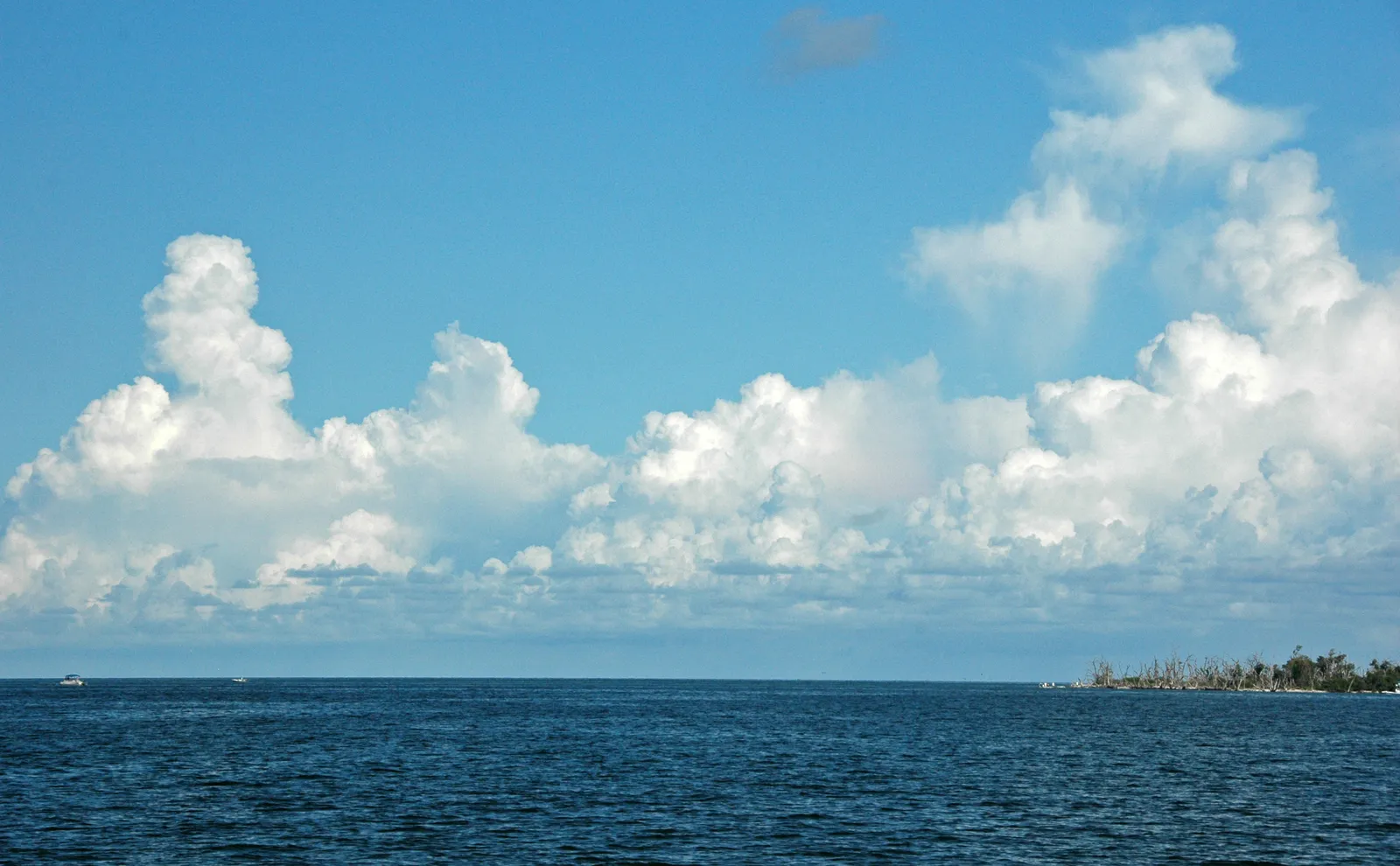 A bank of building summer cumulus stacked over the horizon at Captiva Pass, with dark blue water in the foreground and the low green end of Cayo Costa Island to the right.