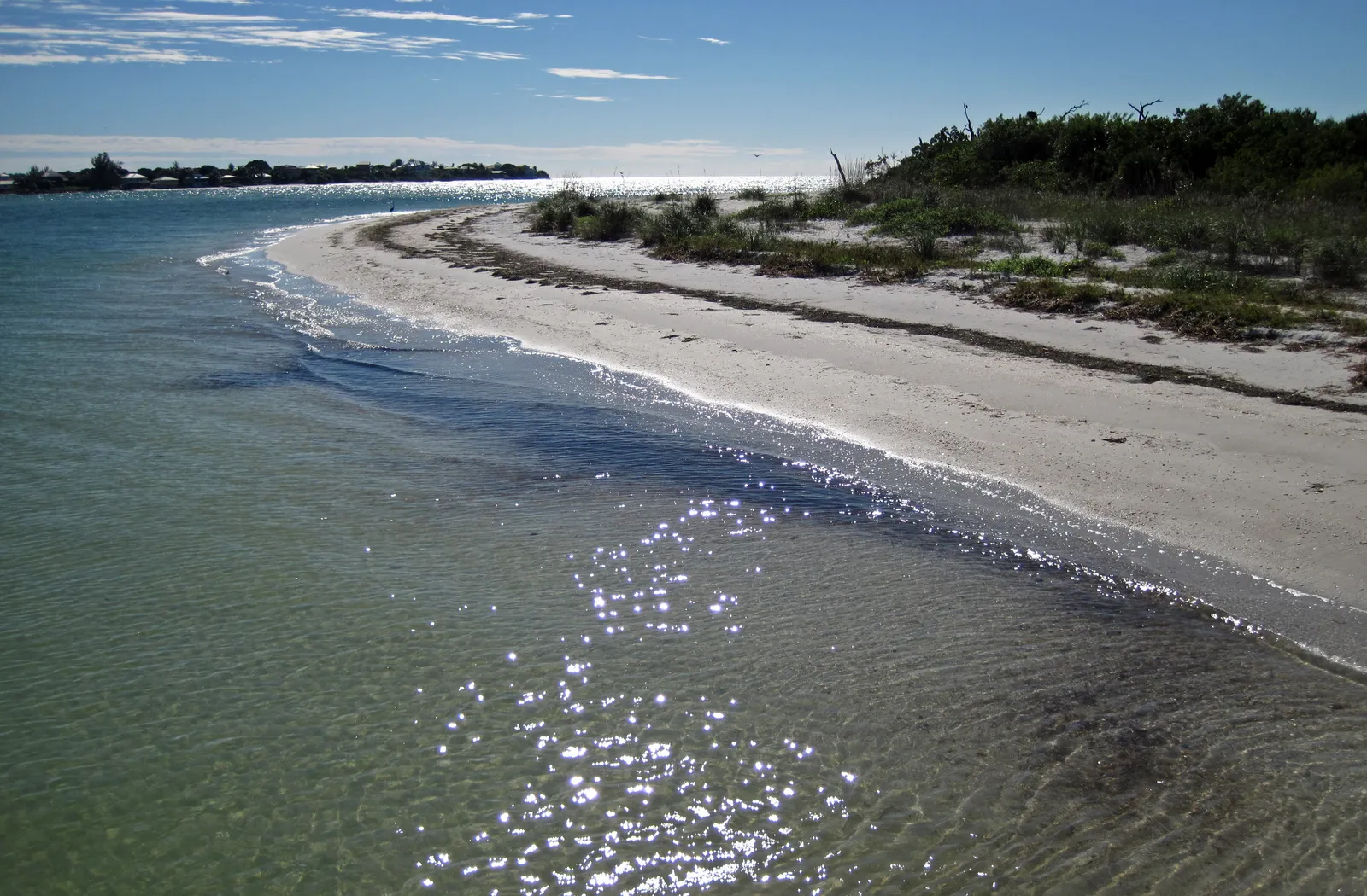 Clear shallow water washing over a white sand spit at the southern tip of Cayo Costa Island, with low green scrub along the dune line and a distant shoreline across the pass.