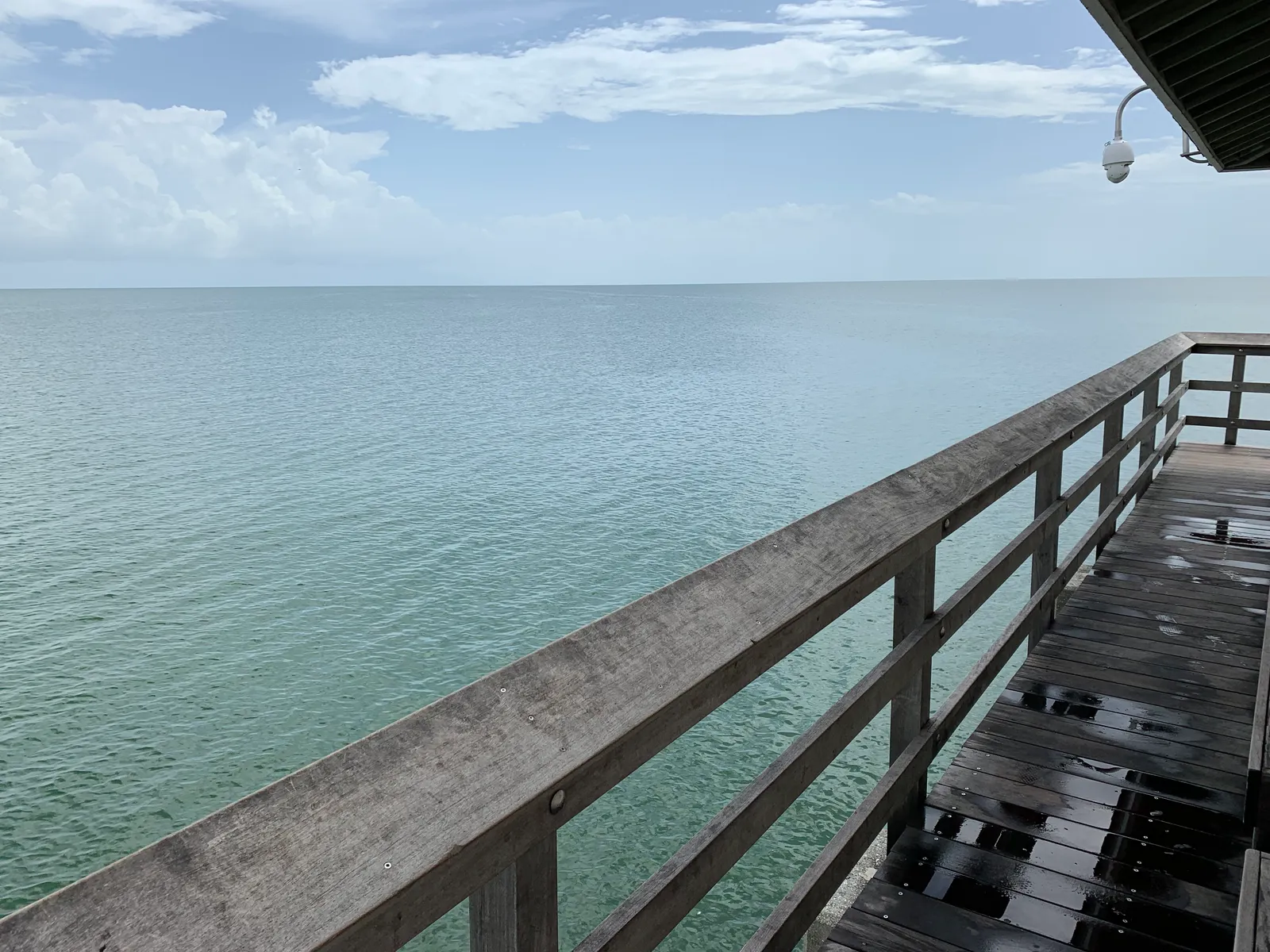 Flat green Gulf of Mexico water seen over the weathered wooden railing of the Naples pier on an overcast, rain-wet morning.