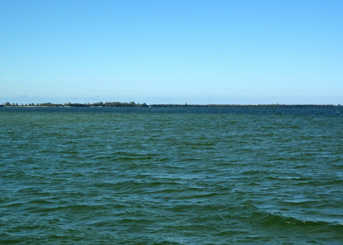 Open chop across Pine Island Sound under a clear sky, with a low mangrove-lined barrier island on the horizon.