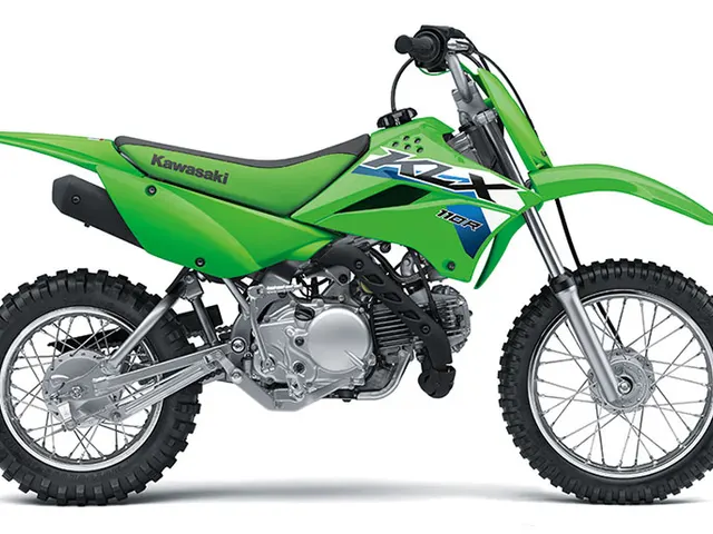 2026 Kawasaki KLX®110R