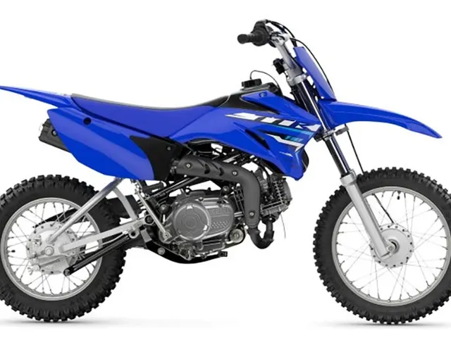 2026 Yamaha TT-R110E