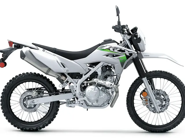 2026 Kawasaki KLX®230 S ABS